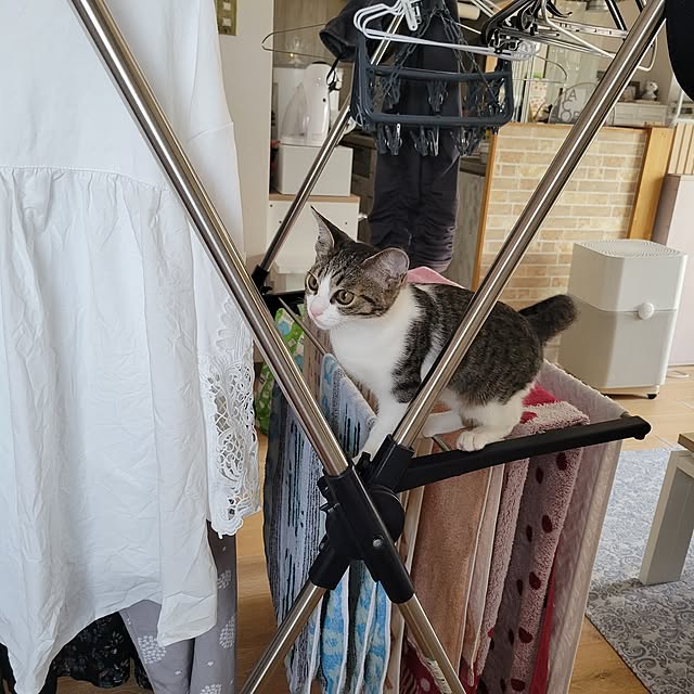 akimameさんの部屋