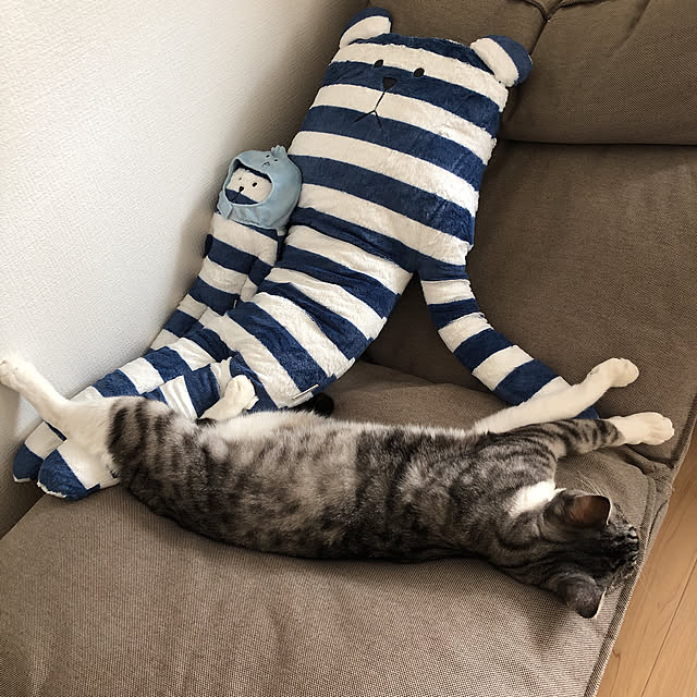 muuさんの実例写真