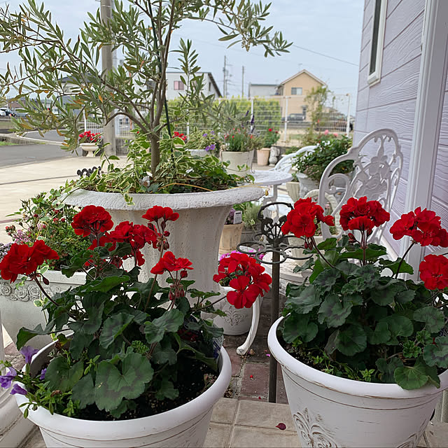 AYUKOさんの実例写真