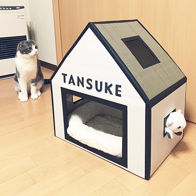 tansukeさんの実例写真