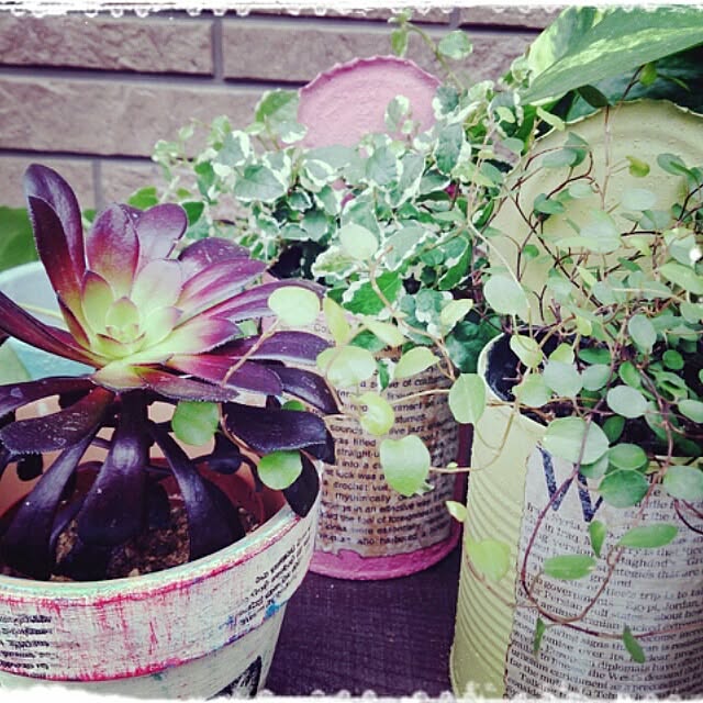 greenlifeさんの実例写真