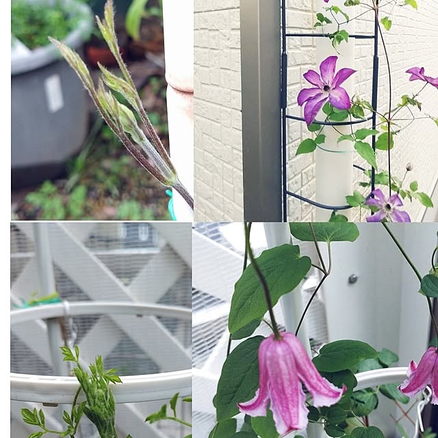 Bienvenueさんの部屋