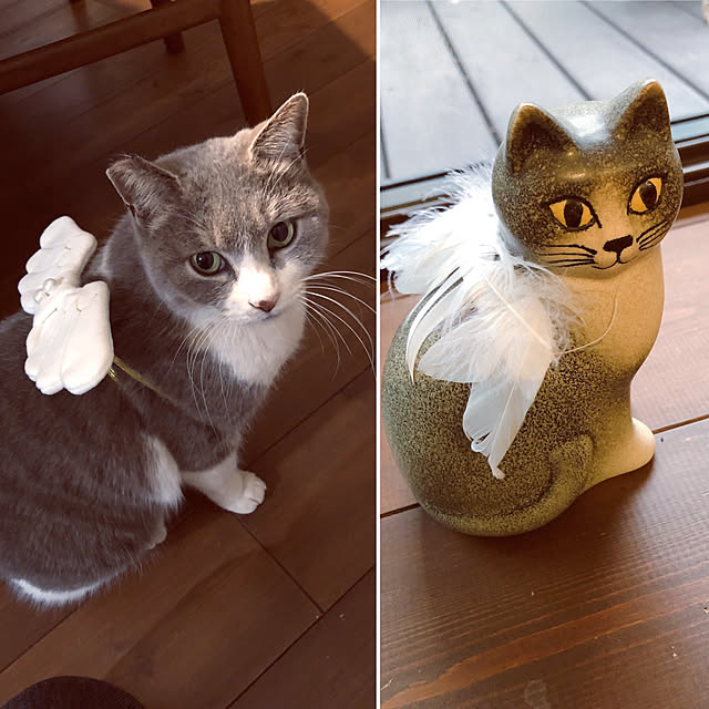 natsumama6566さんの実例写真