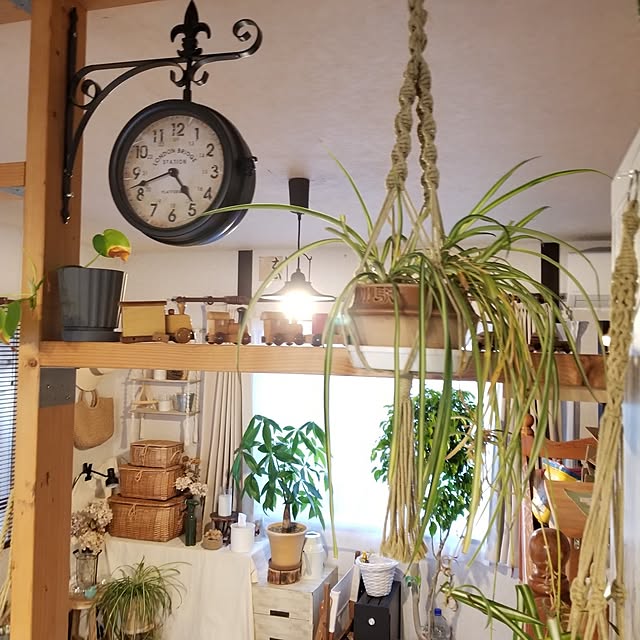 midoriさんの部屋