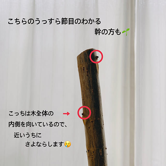 yukaさんの部屋