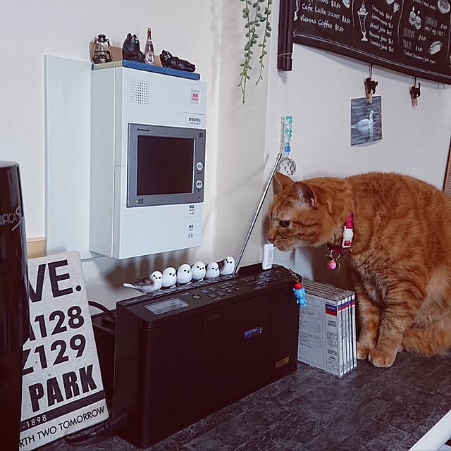 NOAHさんの部屋