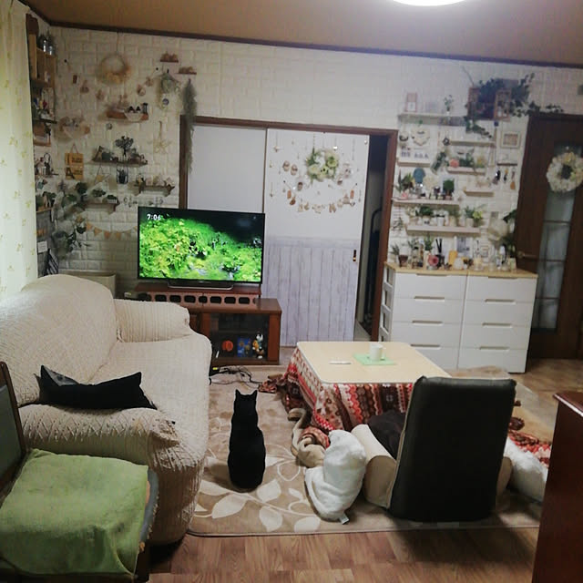 実例写真