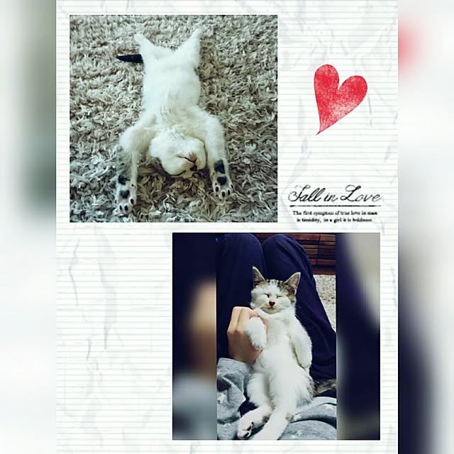 akikoさんの実例写真