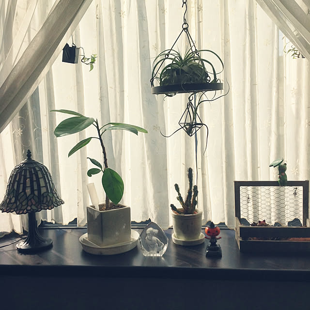 FavoriteGreenさんの実例写真