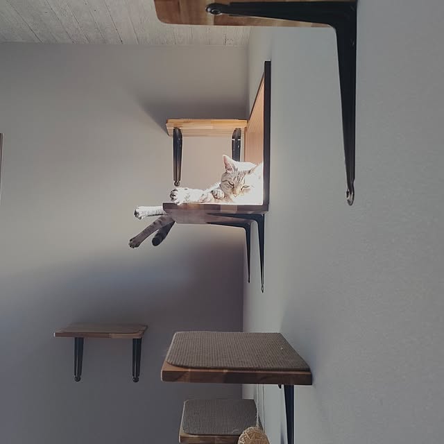 Atelier_tamakiさんの部屋