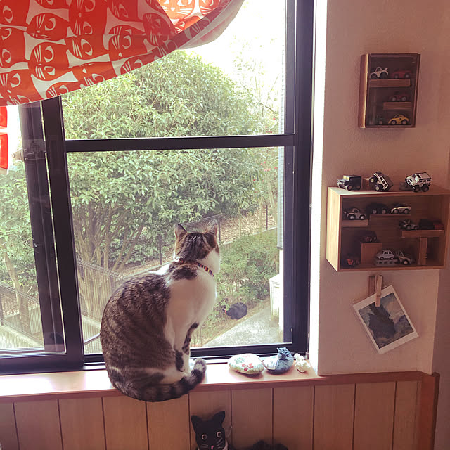 jijiさんの実例写真