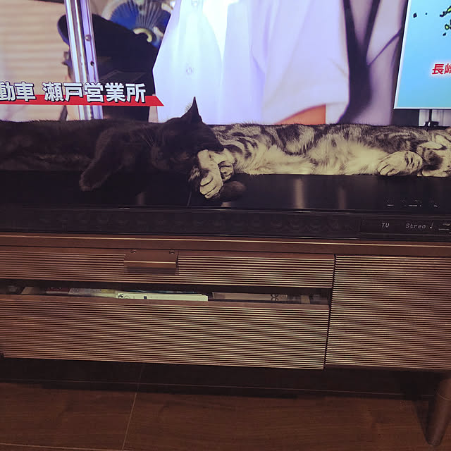 garikoさんの実例写真