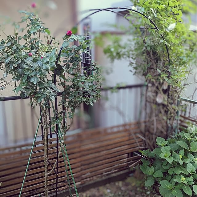 mofukoさんの部屋