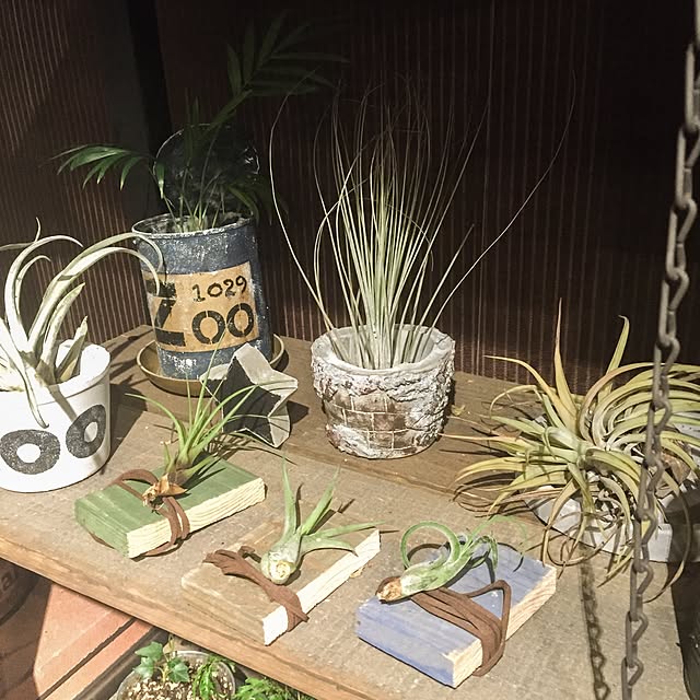 kazooさんの実例写真