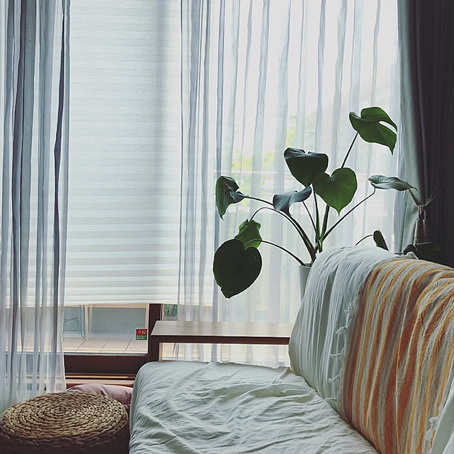home_m_styleさんの実例写真