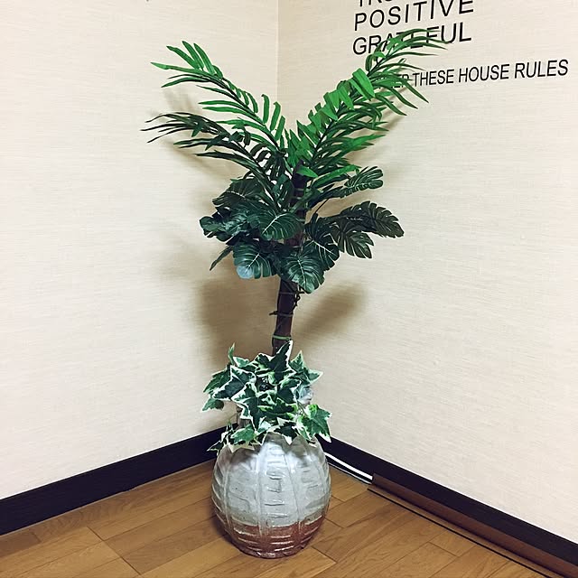 opskeさんの実例写真