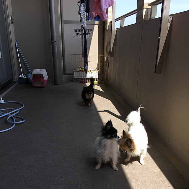 takkunさんの部屋