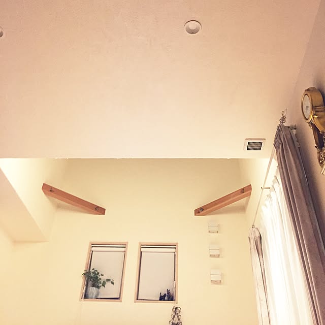 Camelliaさんの実例写真