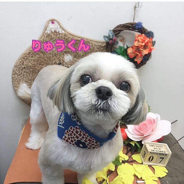 ronさんの実例写真