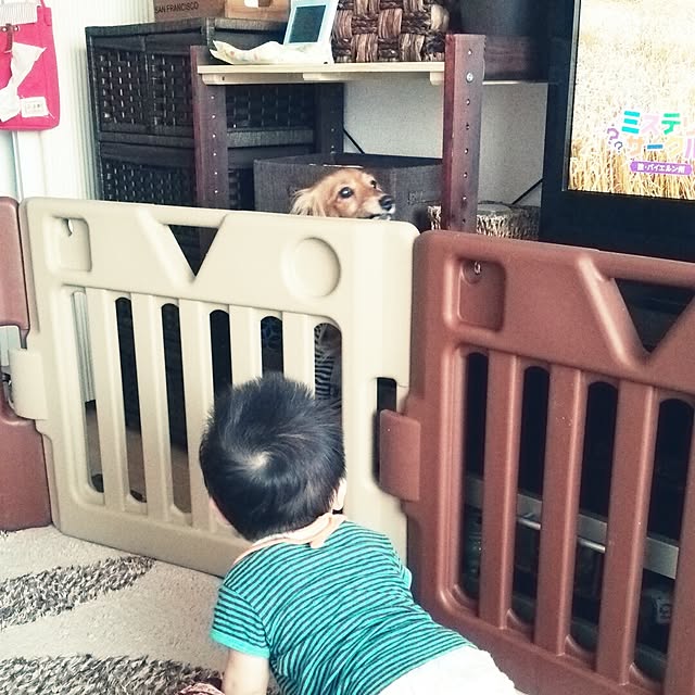 maaaa...さんの実例写真