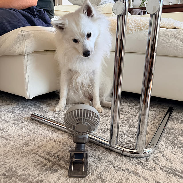 nuruiさんの部屋