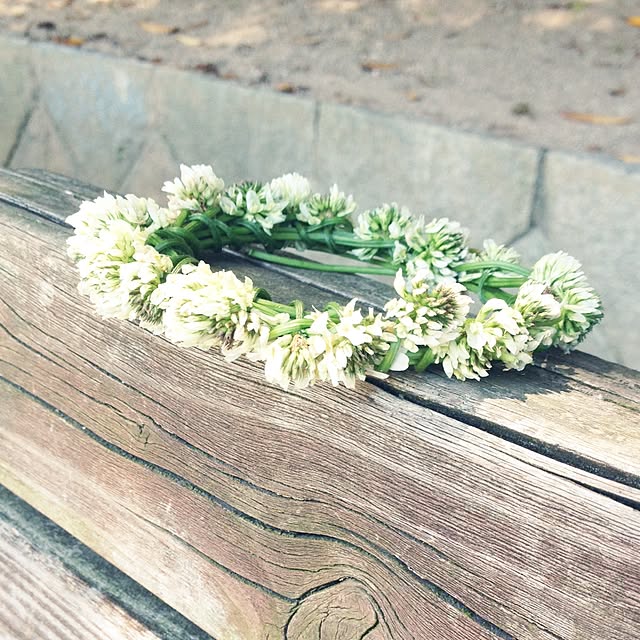 mnmさんの実例写真