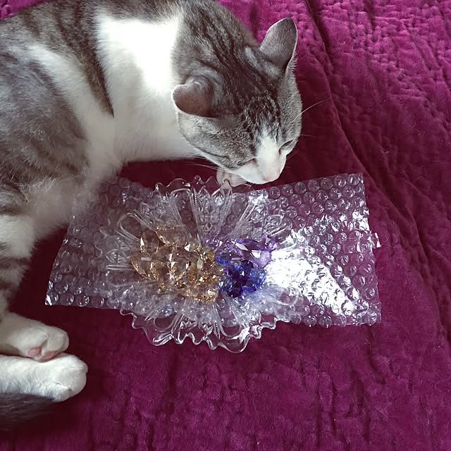 emmyyさんの実例写真