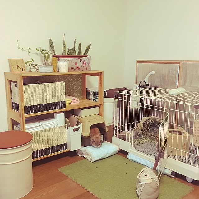 ackoさんの実例写真