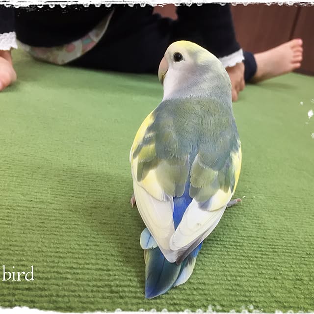 lunacolorさんの実例写真