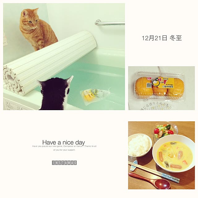 youkoさんの実例写真