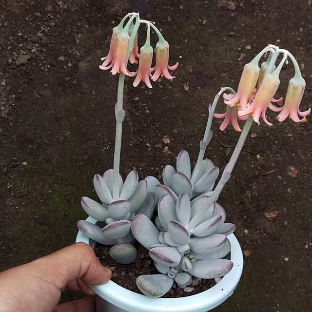 HIRO.TA29さんの実例写真