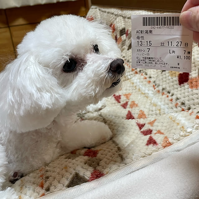 kakoさんの実例写真
