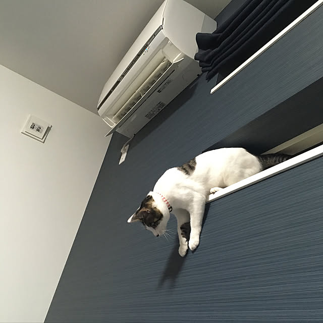awaさんの実例写真