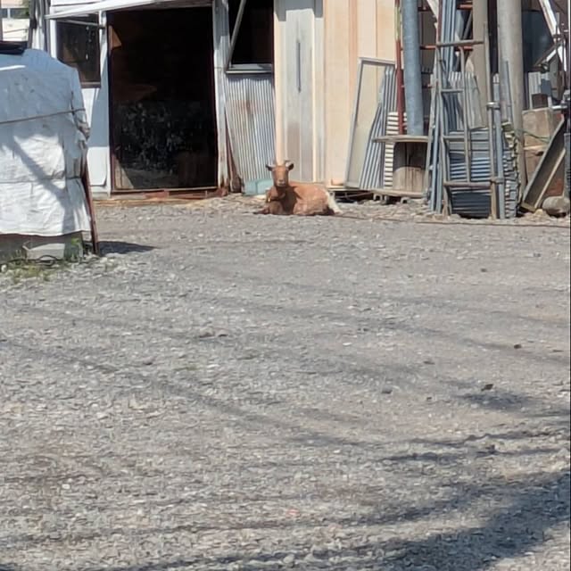 minnieさんの部屋