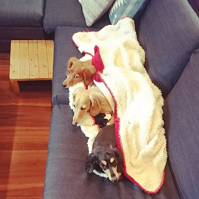 cocosorasakuさんの実例写真