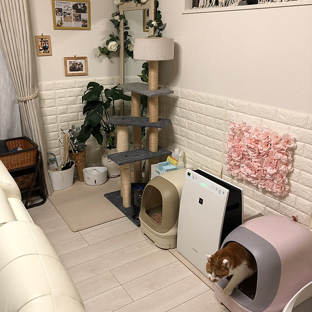 mikenekoさんの実例写真