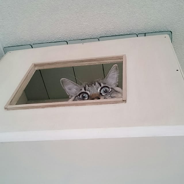 kazaneさんの実例写真