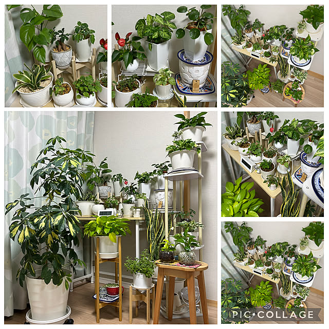 yoyoyoさんの実例写真