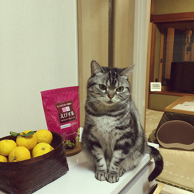 richanさんの実例写真