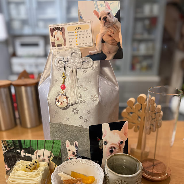 chinaさんの部屋
