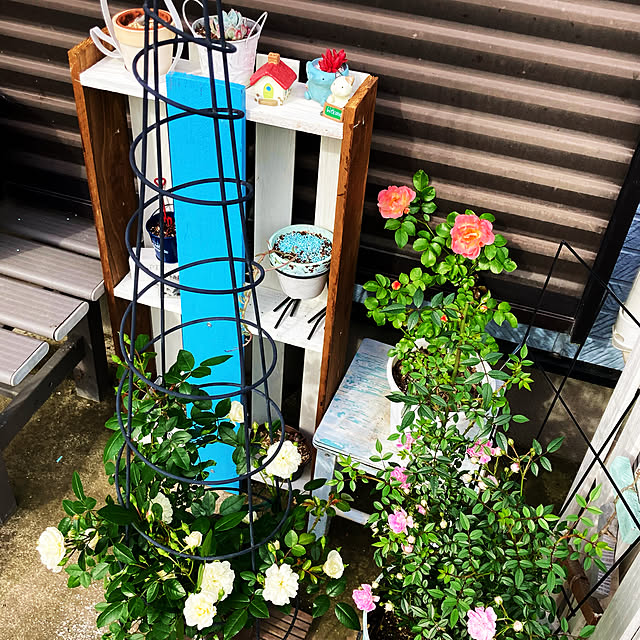 CoCo0617さんの実例写真