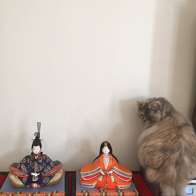 mifuさんの実例写真