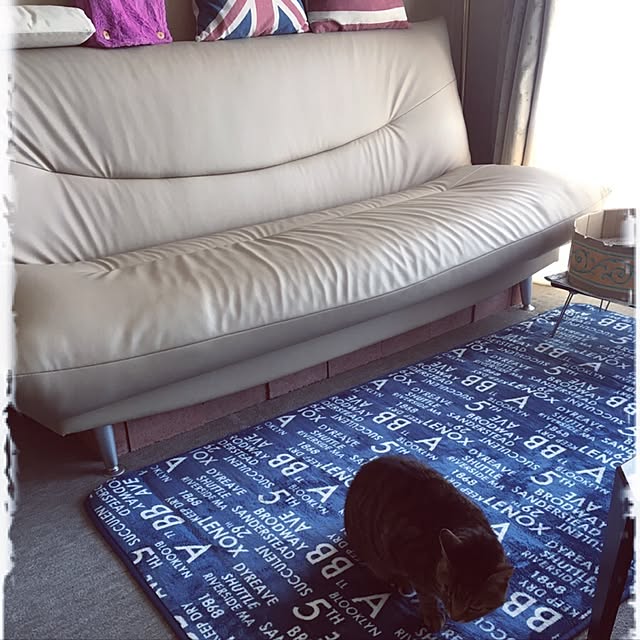 shigimiさんの実例写真