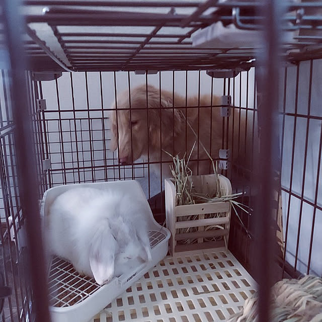 ciiiさんの実例写真