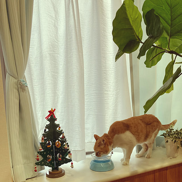 chakuron.iさんの実例写真