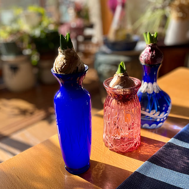 buchiさんの実例写真