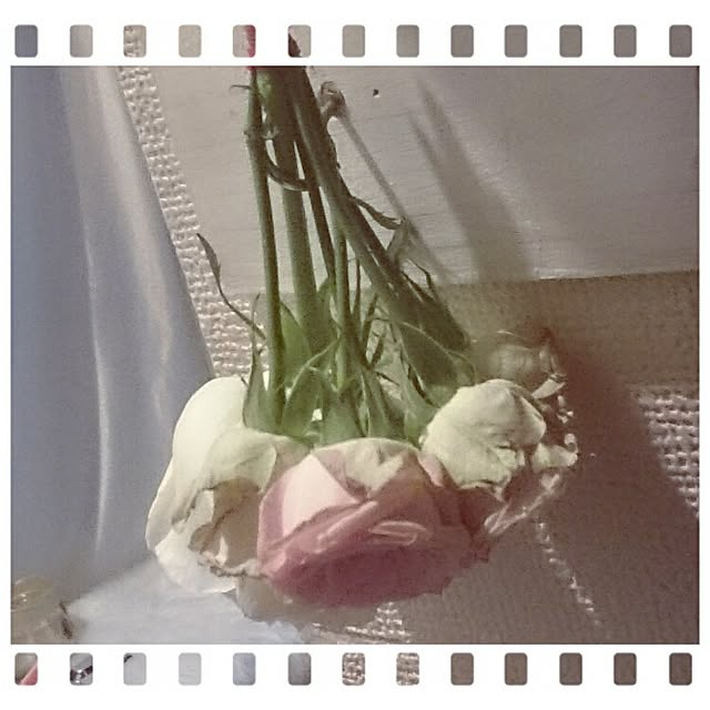 OBTERNIR88filerさんの実例写真