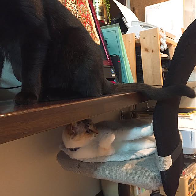 nanaさんの実例写真