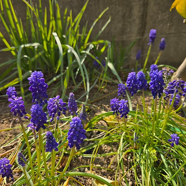 mayumiさんの部屋