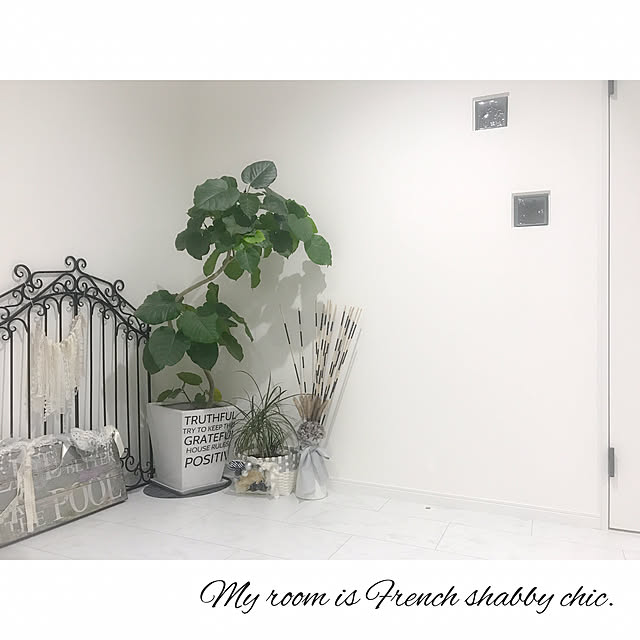 Michiyoさんの実例写真